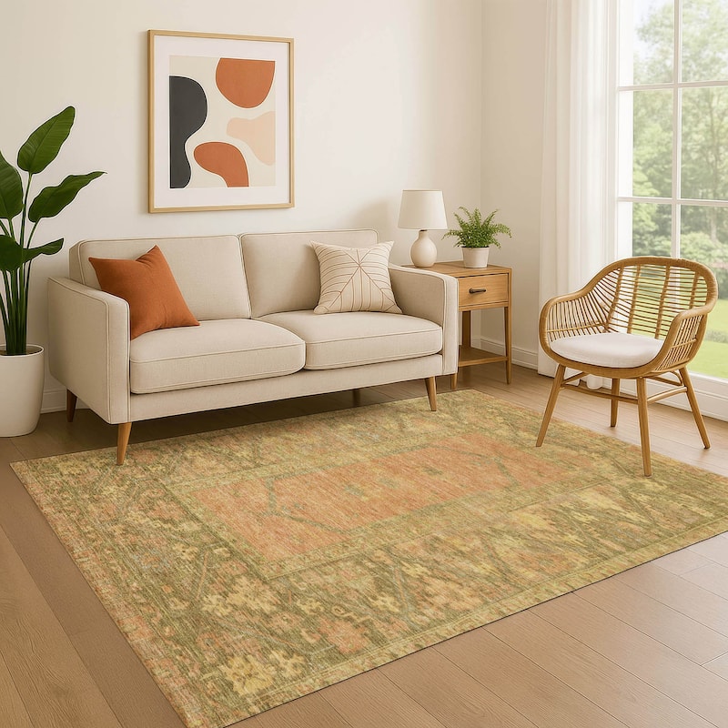 Premium Washable Super Soft Traditional Global Mayfield Rug - Coral - 8' x 10'