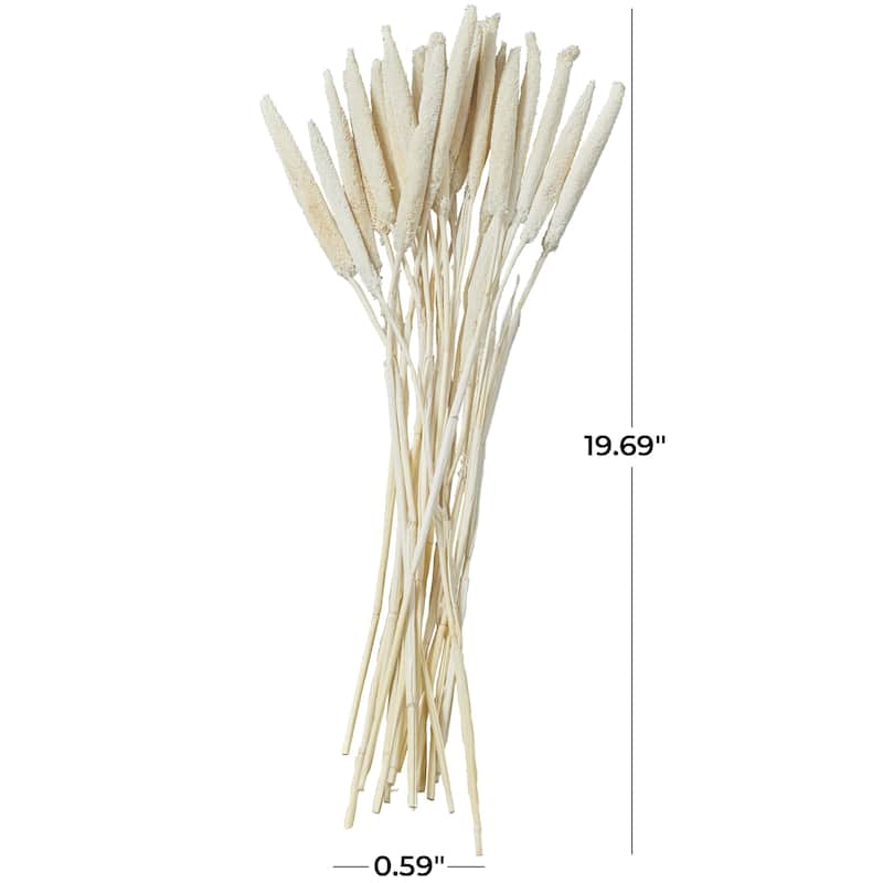 Dried Plant Bunny Tail Home Decor Natural Foliage - White, Red, Dark Brown, Orange, Green, Pink, Yellow - Roche River Decor