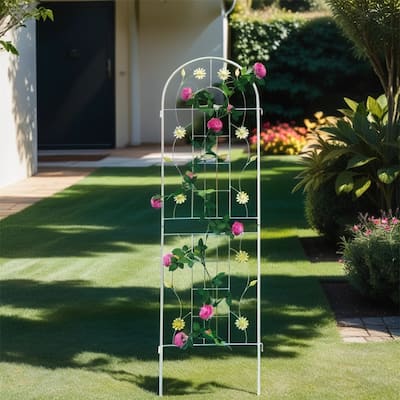 4 Pcs Rustproof Metal Garden Trellis for Climbing Plants
