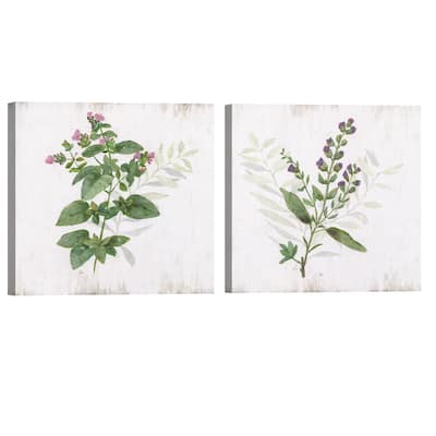 Kitchen Garden I & II by Nan Canvas Art Prints
