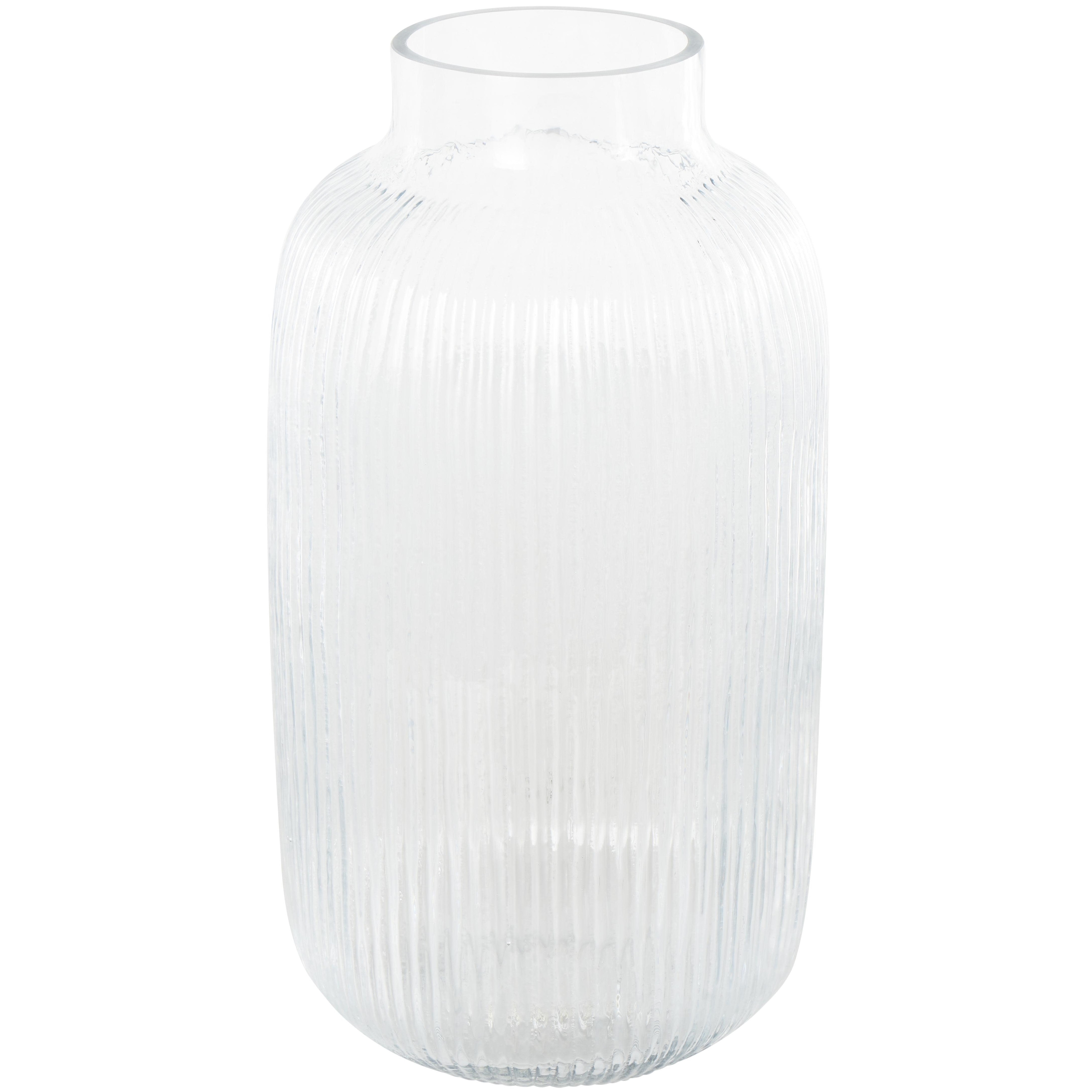 Glass Ribbed Decorative Vase - Clear - Roche River Decor