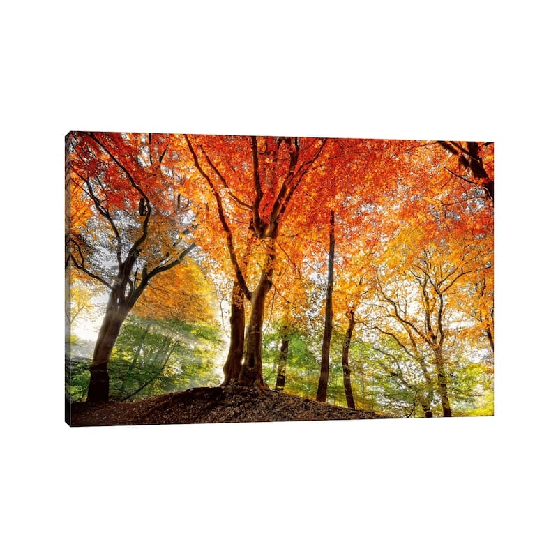 iCanvas "Prism Of Light" by Lars van de Goor Canvas Print