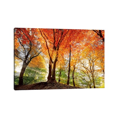 iCanvas "Prism Of Light" by Lars van de Goor Canvas Print