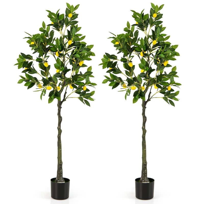 1/2 PCS Artificial Lemon Tree 63" Tall Fake Lemon Plant w/Cement Pot - 2 PCS