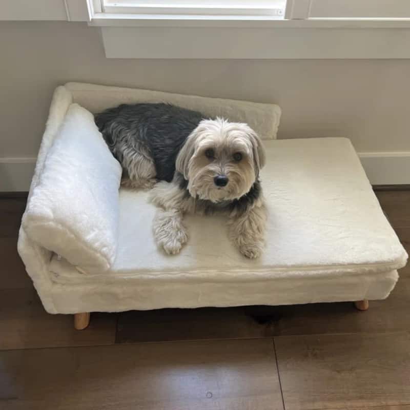 Waterproof L Shape Dog Sofa Bed Cat Chaise Elevated Pet Cushion Lounger with Pillow - Medium