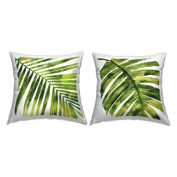 monstera alter Monstera deliciosa