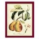 preview thumbnail 111 of 138, Printed Tuscan Fruits IV -Framed Print w/glass-Cherry Red 12x15 - Red