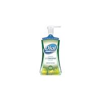 Shop Dial Basics Foaming Hand Soap Refill 1000mL Honeysuckle 6/Carton