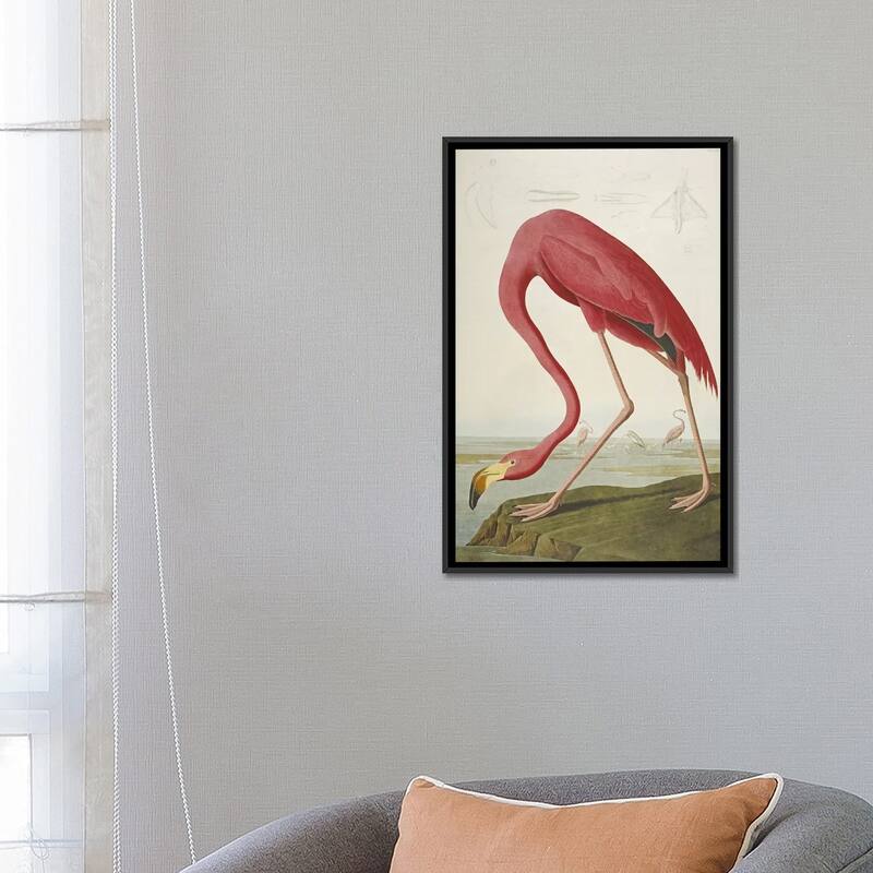 iCanvas "American Flamingo" by John James Audubon Framed Canvas Print