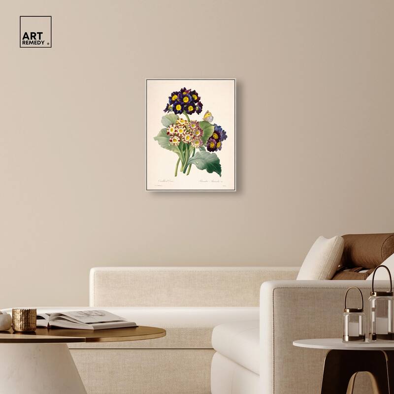 Auricula Varieties Canvas by Art Remedy