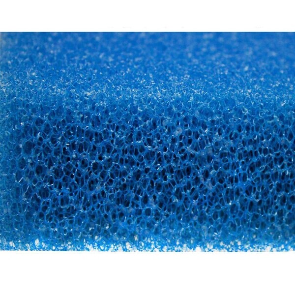 blue sponge filter