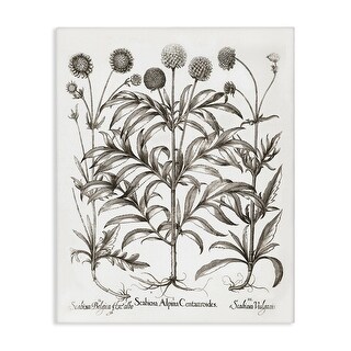 Stupell Scientific Vintage Flowers Canvas Wall Art Design By Lettered ...