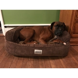 Simmons beautyrest colossal rest orthopedic memory foam dog bed store