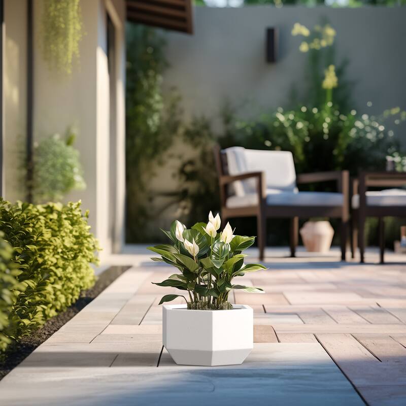 Concrete Geometric Plant Pots / Large Indoor and Outdoor flower Planters - 8 Inch High - Crisp White