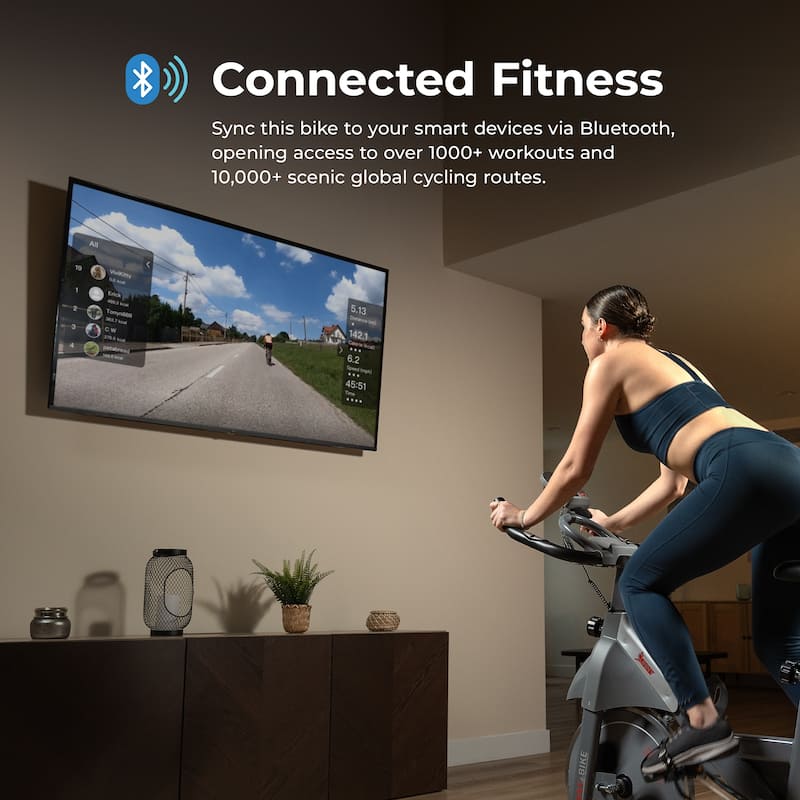 Smart Indoor Cycling Magnetic Resistance Exercise Bike SF-B123033 - Grey - 52.8 x 21.3 x 49.6 inches
