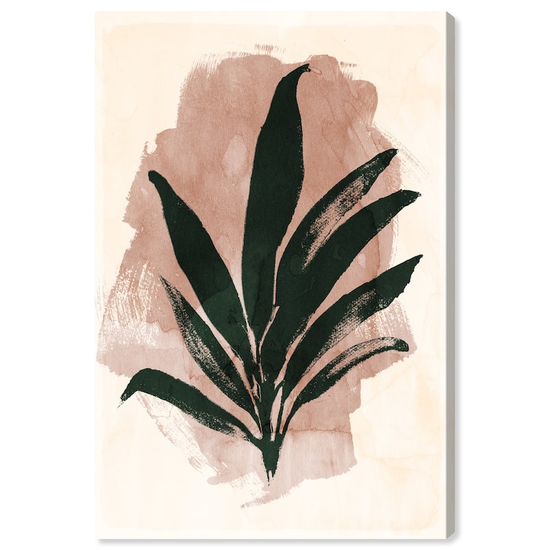 Wynwood Studio Canvas Floral and Botanical Inked Plant II Pink and Light Pink Modern & Contemporary Wall Art Canvas Print