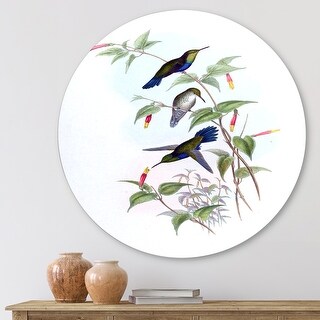 Designart 'Vintage Hummingbird I' Traditional Metal Circle Wall Art ...