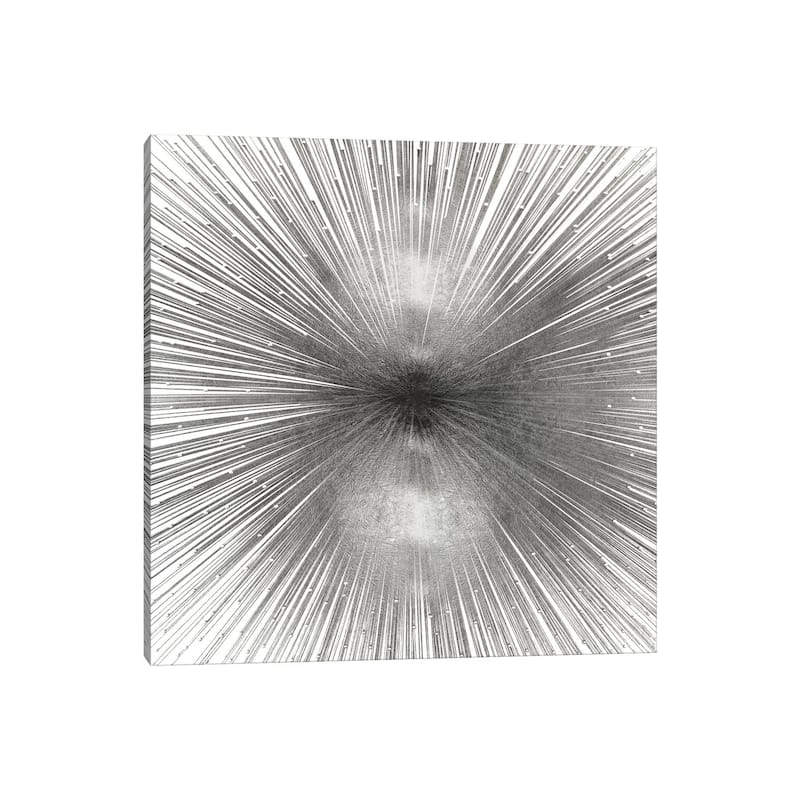 iCanvas "Radiant Silver" by Abby Young Canvas Print