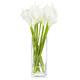 Option White