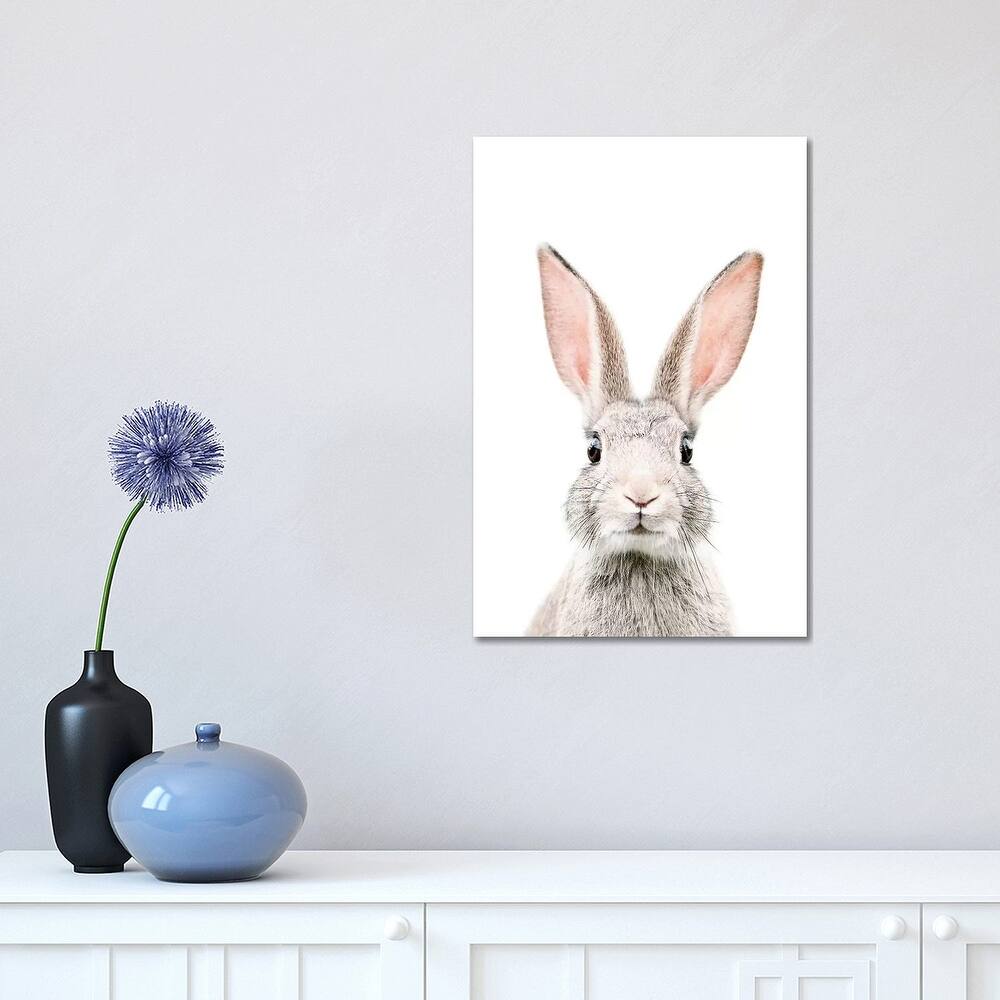 iCanvas "Bunny" by Sisi & Seb Canvas Print