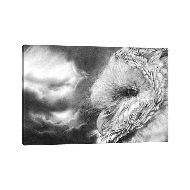 iCanvas "Keeper Of Secrrets" by Peter Williams Canvas Print