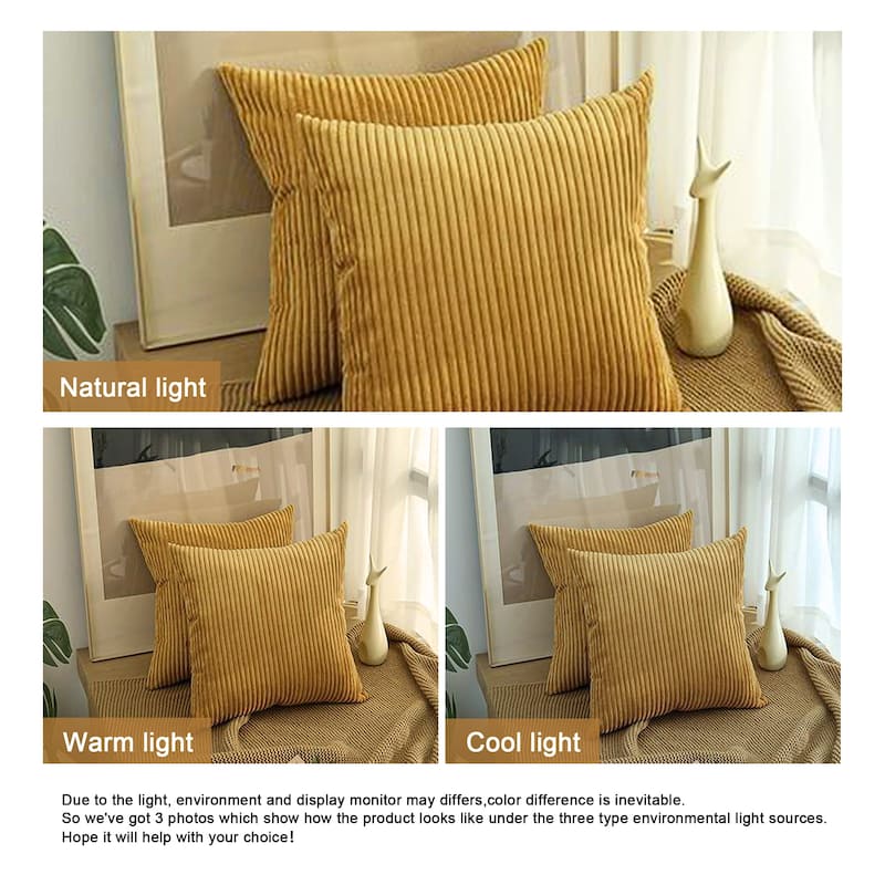 Set of 2 Modern Decorative Soft Corduroy Throw Pillows