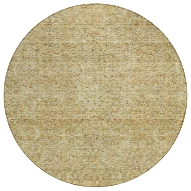Machine Washable Indoor/ Outdoor Boho Traditional Chantille Rug