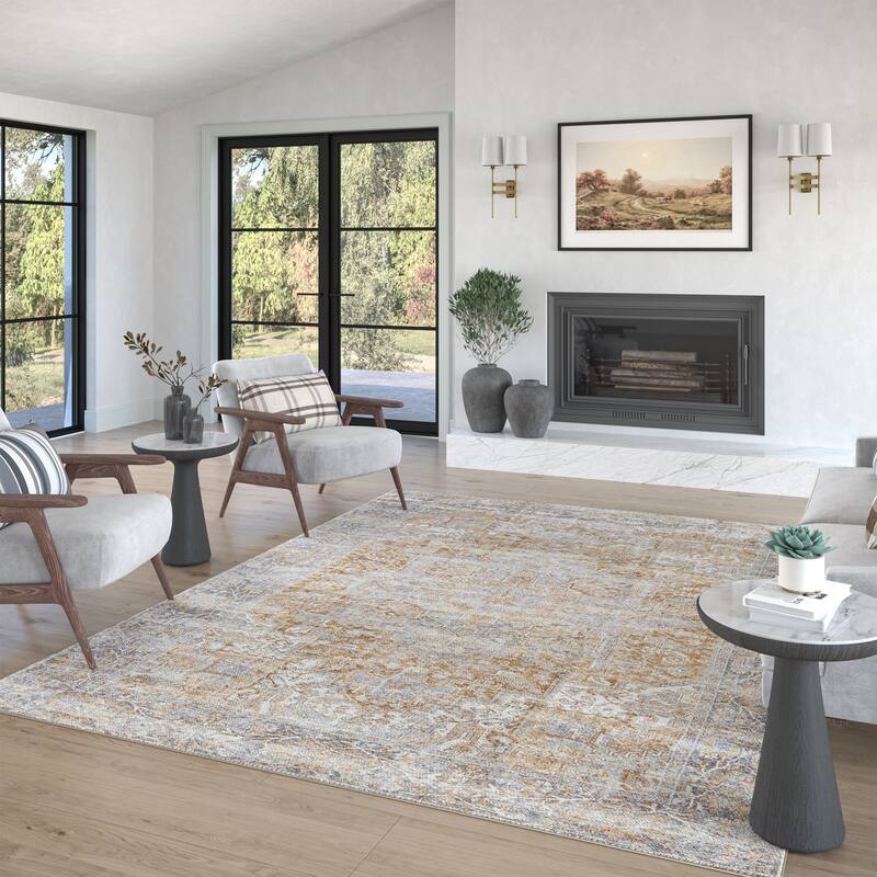 Park Avenue Traditional Medallion Indoor Machine Washable Area Rug