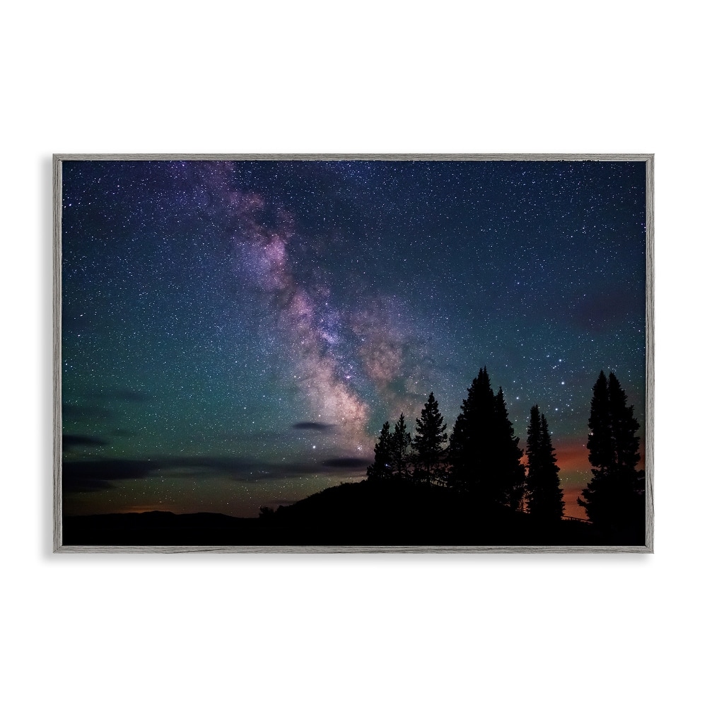 Stupell Silhouetted Forest & Night Sky Framed Giclee Art Design By Royce Bair