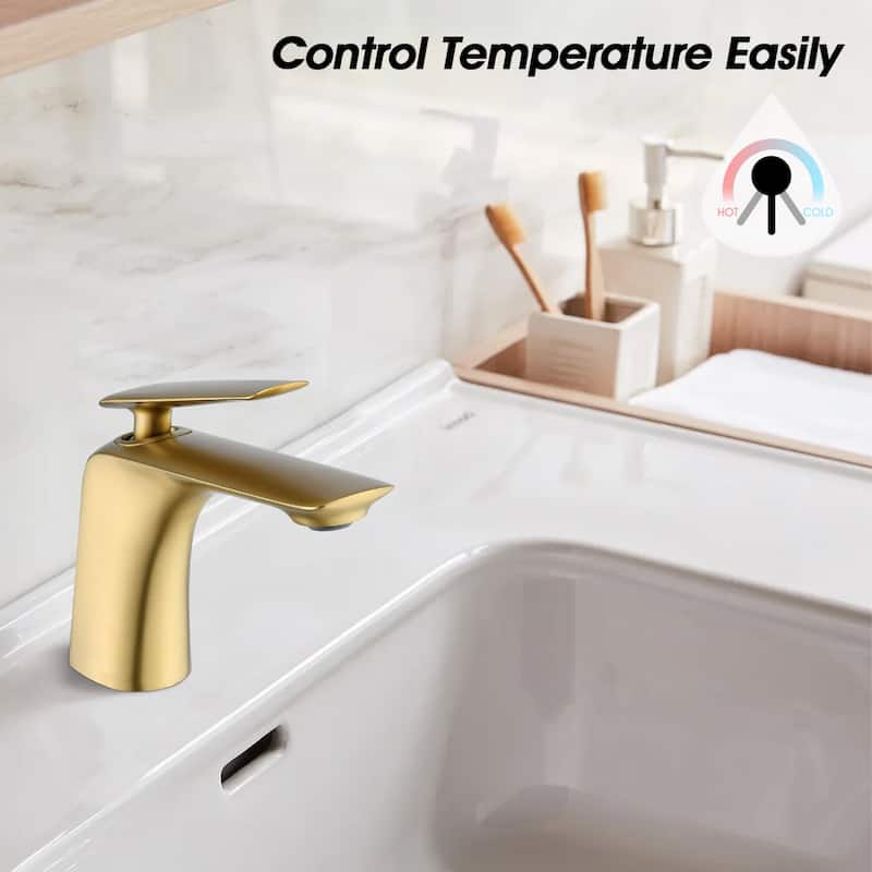 Single Hole Bathroom Sink Faucet with Pop Up Drain and Water Supply Hose, Single Handle Bathroom faucet