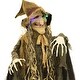 preview thumbnail 8 of 7, Haunted Hill Farm 6-Ft. Scarecrow Witch, Indoor/Covered Outdoor Halloween Decoration, LED Multi Eyes, Poseable, , Helena