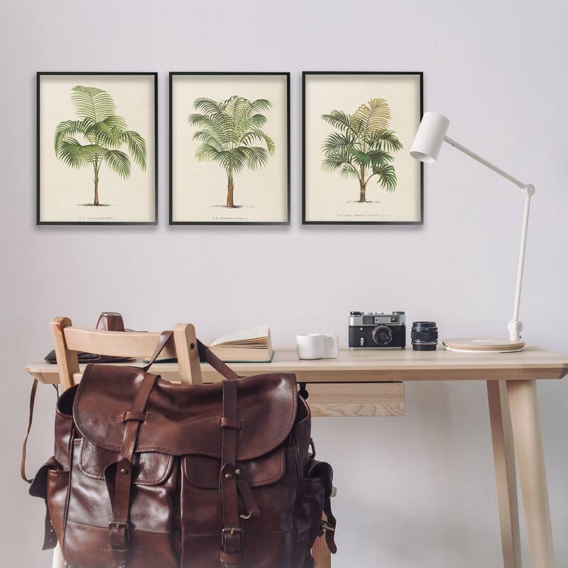 Stupell Les Palmiers Botanical Trio Framed Giclee Art Design by World Art Group (Set of 3)