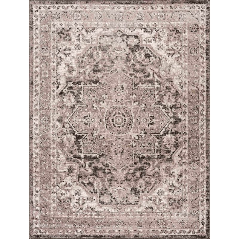 Albie Oriental Persian Medallion Area Rug