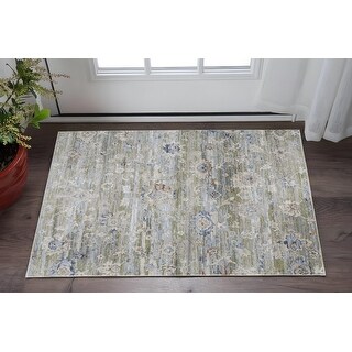 Rectangle Traditional Style Botanical Area Rug - 36' X '24' X '0.47 ...