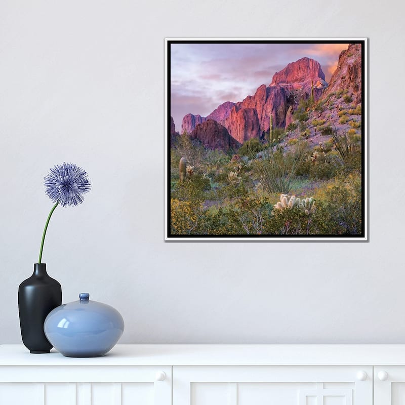 iCanvas "Teddy Bear Cholla And Saguaro, Kofa Nwr, Arizona" by Tim Fitzharris Framed Canvas Print