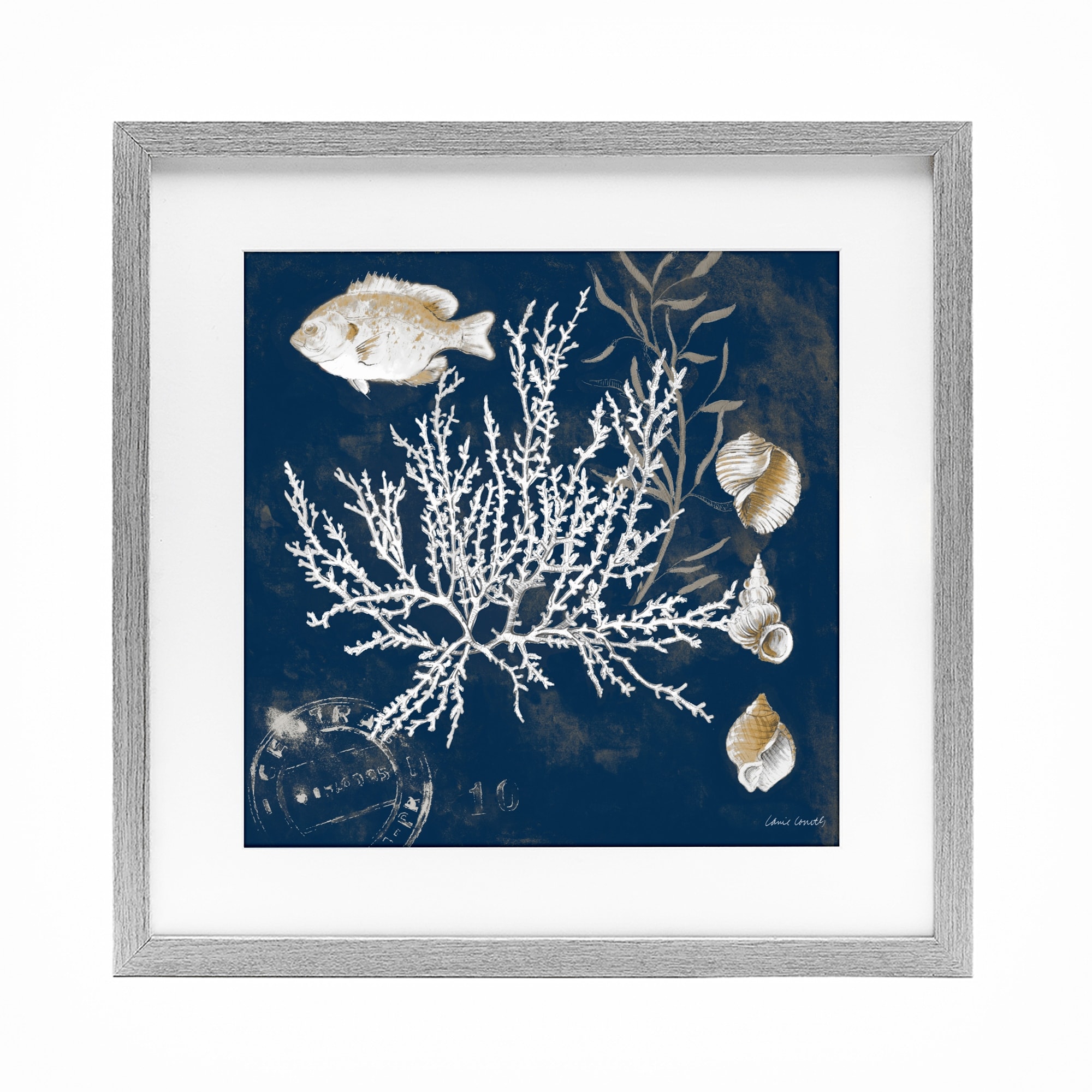Stupell Coral Medley on Blue Under Glass Framed Design By Lanie Loreth