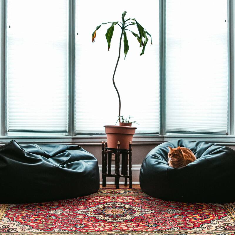 ECARPETGALLERY Hand-knotted Anadol Red Wool Rug - 3'10 x 5'9