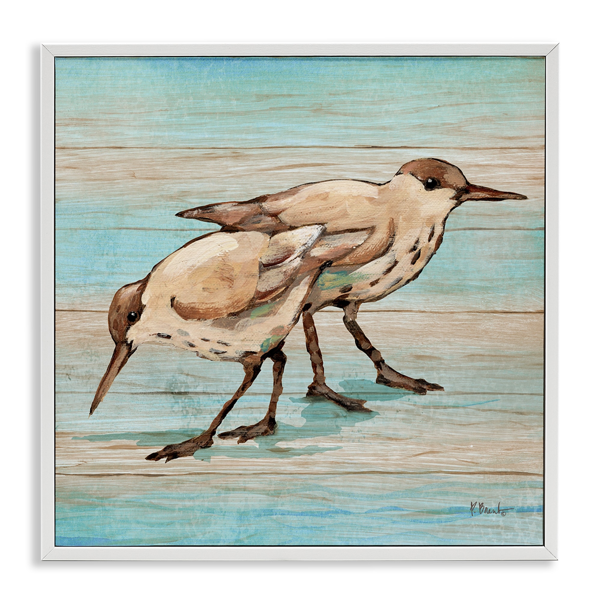 Stupell Coastal Teak Birds Framed Giclee Art Design By Paul Brent