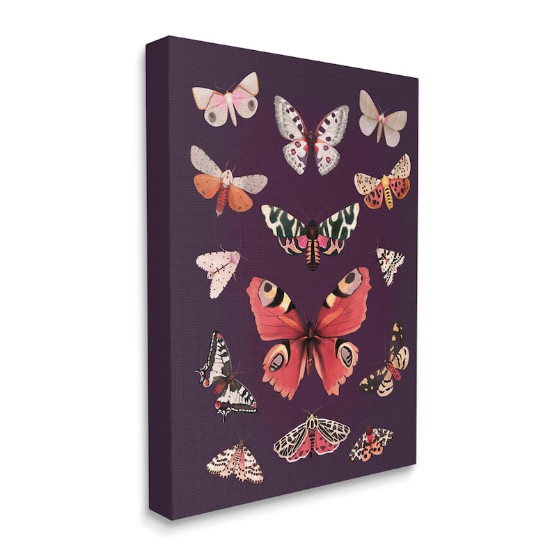 Stupell Vintage Wildlife Moths Canvas Wall Art Design by Diane Neukirch