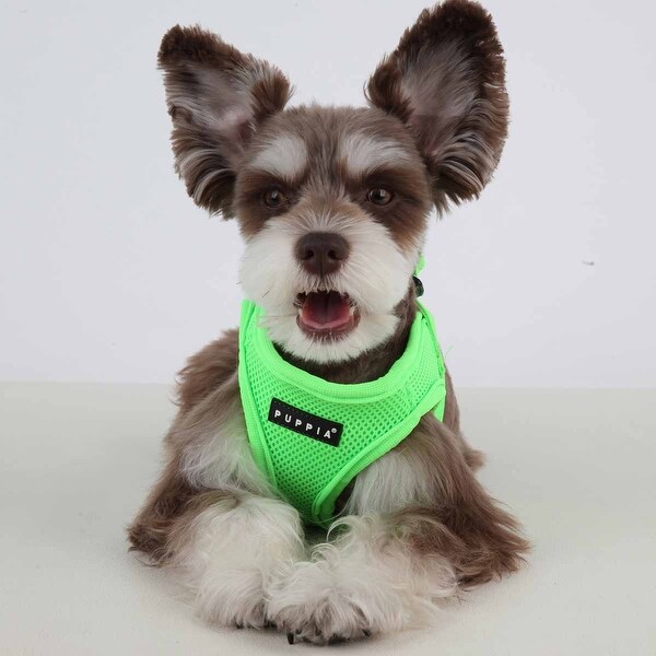 Puppia neon harness shop