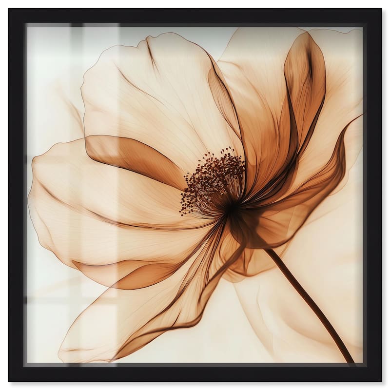 Fragile Elegance II Shadowbox by Art Remedy - Black - 20" x 20"