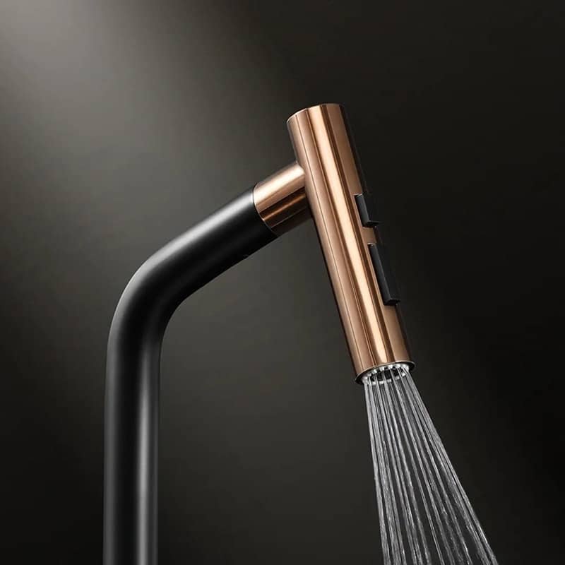 HIGOLD Kitchen Faucet with Pull Down Sprayer, Cold & Hot Water Function
