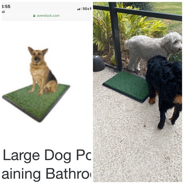 Shop X Large Dog Potty Grass Pet Potty Patch Dog Training Bathroom