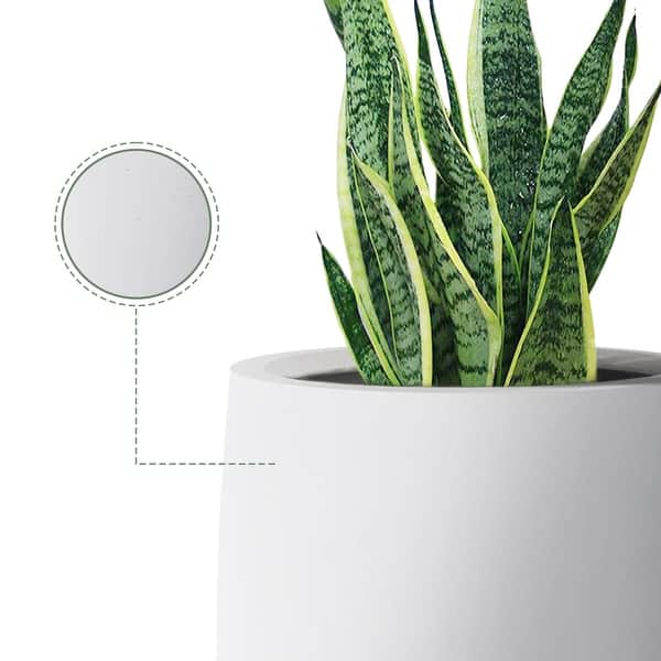 succulent ceramic pot Honey Bubbles - Live Mini Succulent Garden in Ceramic Pots