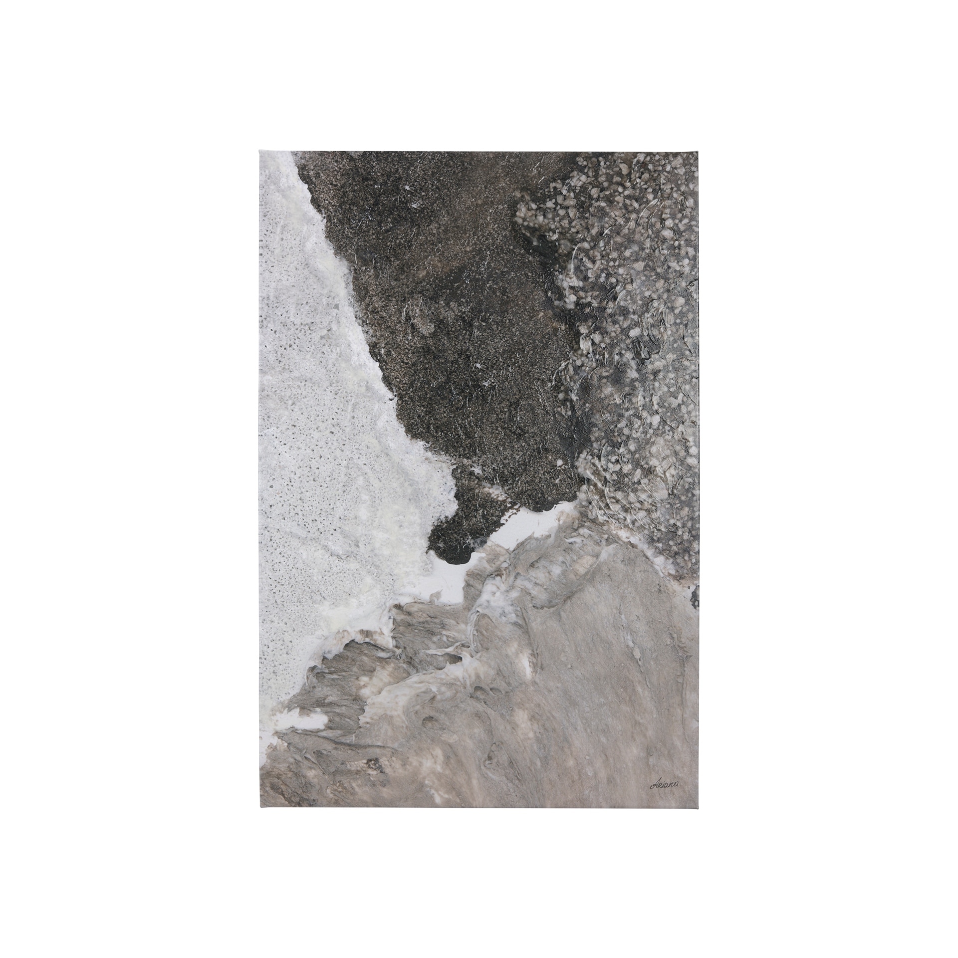 Mudslide I (28 x 42 ) Canvas Art Print