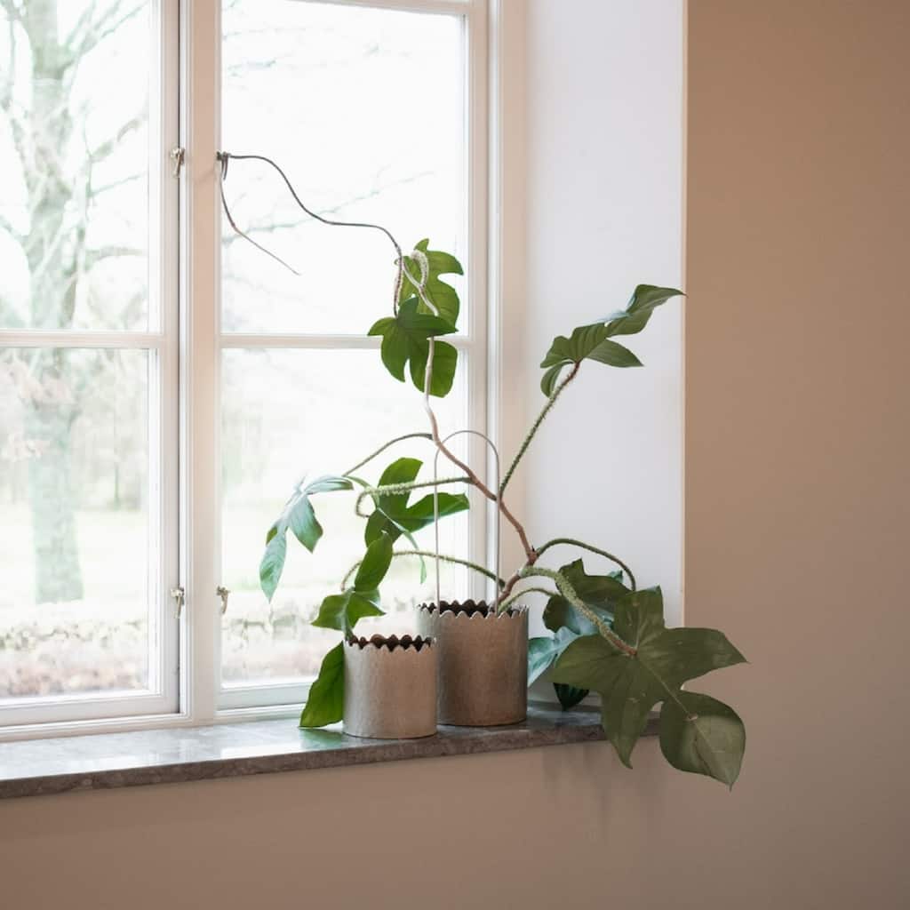 Large Ceramic Scalloped Rim Pot Planter - 7.75" - Beige