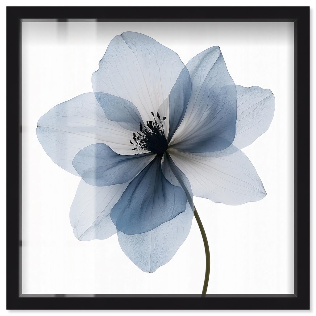 Morning Petalia III Shadowbox by Art Remedy