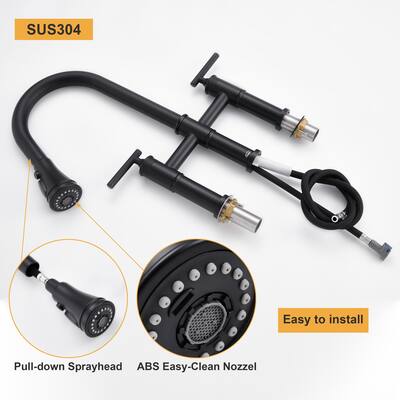 Pull Down Double Handle Kitchen Faucet