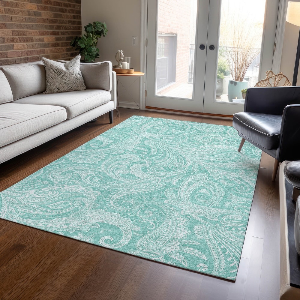 Machine Washable Indoor/ Outdoor Chantille Paisley Traditional Rug