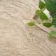 preview thumbnail 43 of 70, Nourison Graceful Indoor Abstract Area Rug